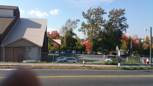 Sixteen Acres Garden Center - Plant Nursery at 1359 Wilbraham Rd ...