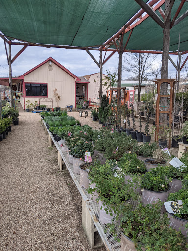 Cantu Nursery Landscape