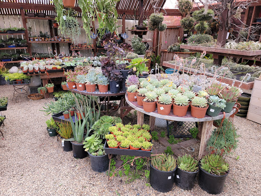 San Marcos Growers Wholesale Nursery - Plant Nursery at 125 S San ...