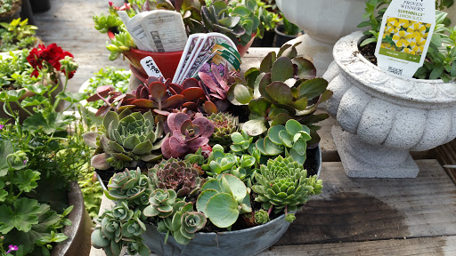 Aspen Ridge Farm & Nursery - Plant Nursery at 5063 S W Helmholtz Way ...