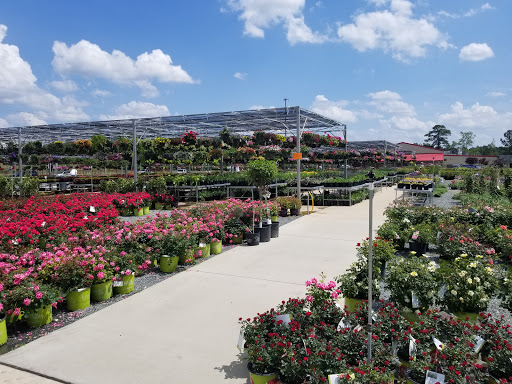Bell's Seed Store - Plant Nursery at 230 E Russell St, Fayetteville, NC
