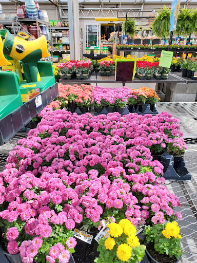 Loop Nurseries Eastside Discount Nursery - Plant Nursery at 8423 N Loop Dr, El Paso ...