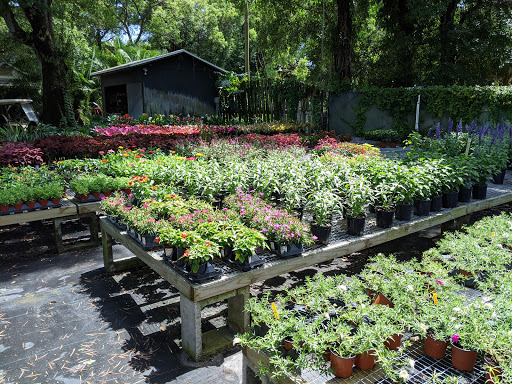 Golden Rain Nursery - Plant Nursery at 4203 46th Ave N, St. Petersburg ...