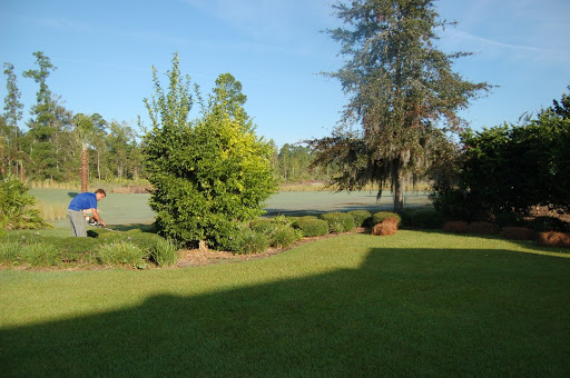 Coastal Greenery Inc - Plant Nursery at 1242 Old Jesup Rd, Brunswick ...