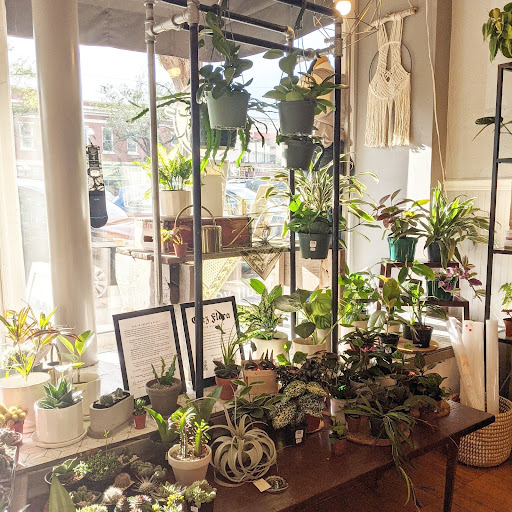 Fort Collins Nursery - Plant Nursery at 2121 E Mulberry St, Fort ...