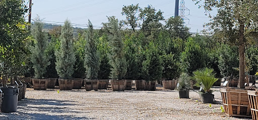 Loop Nurseries Moon Valley Nurseries San Antonio - Plant Nursery at 3550 N Loop 1604 E ...