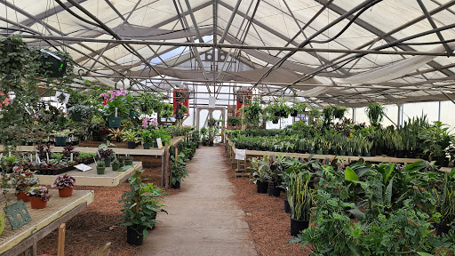Lewis Strawberry Nursery & Farm Gordon Road Wilmington Nc