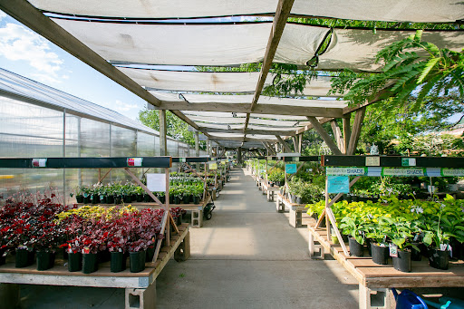 Fort Collins Nursery - Plant Nursery at 2121 E Mulberry St, Fort ...