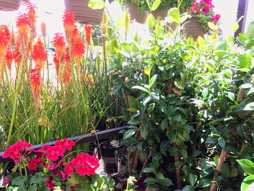 Fort Collins Nursery - Plant Nursery at 2121 E Mulberry St, Fort ...