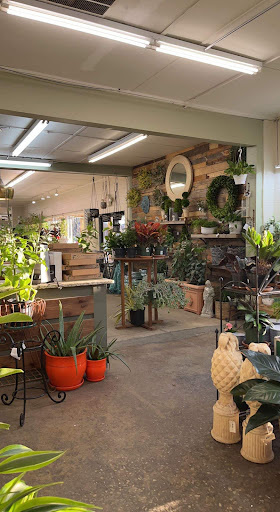 Frank Otte Nursery and Garden Center - Plant Nursery at 2930 Bardstown ...