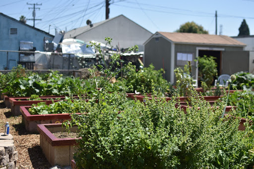 L.A. Los Primos Landscaping - Plant Nursery at 1212 S Amantha Ave ...