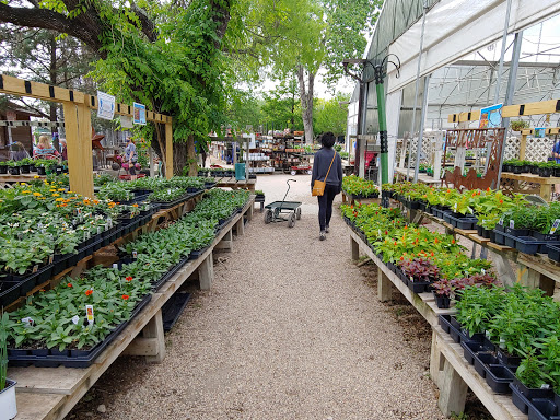 Loop Nurseries Moon Valley Nurseries San Antonio - Plant Nursery at 3550 N Loop 1604 E ...
