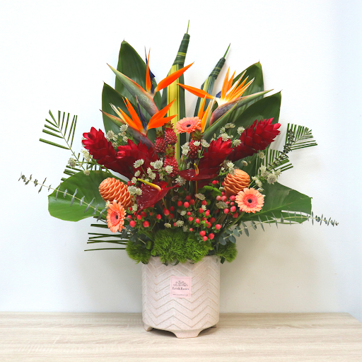 Popular flower nursery in North Miami, FL? Find 3 Elite Nurseries ...