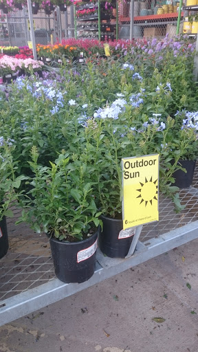 Loop Nurseries Moon Valley Nurseries San Antonio - Plant Nursery at 3550 N Loop 1604 E ...