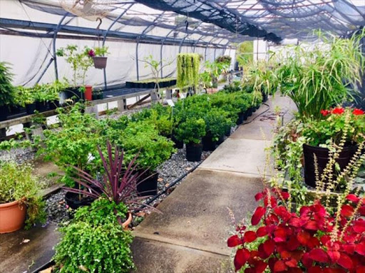 Sitemapcdatahttpswwwkedriinfolucas Nursery Landscapingnull