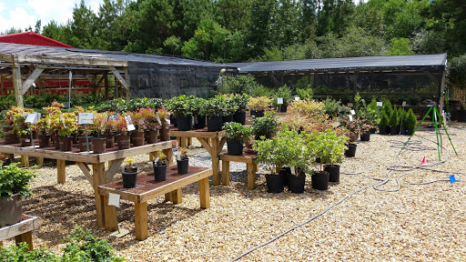 Loop Nurseries Parker's Landscape Services - Plant Nursery at 1951 Mc Innis Loop ...