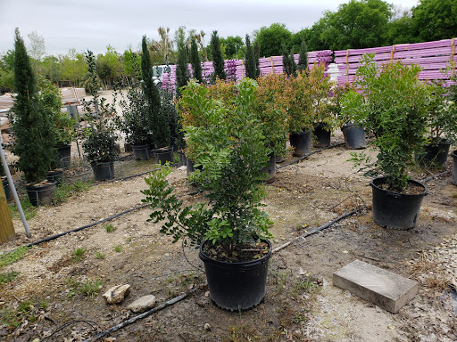 Loop Nurseries Moon Valley Nurseries San Antonio - Plant Nursery at 3550 N Loop 1604 E ...