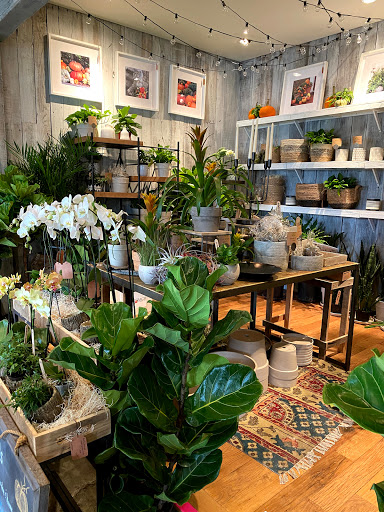 Frank Otte Nursery and Garden Center - Plant Nursery at 2930 Bardstown ...