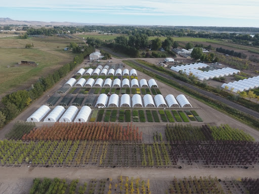 Fort Collins Nursery - Plant Nursery at 2121 E Mulberry St, Fort ...