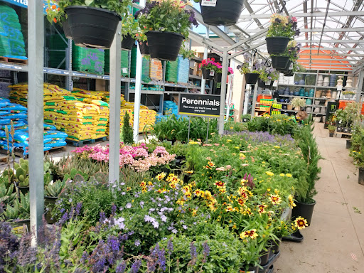 Fort Collins Nursery - Plant Nursery at 2121 E Mulberry St, Fort ...
