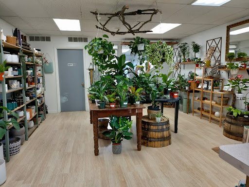 Fort Collins Nursery - Plant Nursery at 2121 E Mulberry St, Fort ...