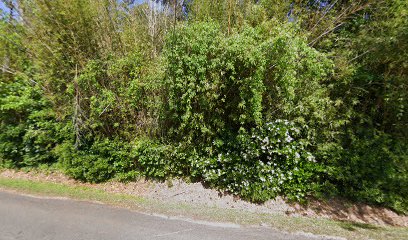 Snell & Associates - Plant Nursery at 104 Gumtree Rd, Hilton Head ...