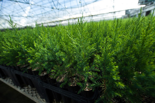 Fort Collins Nursery - Plant Nursery at 2121 E Mulberry St, Fort ...