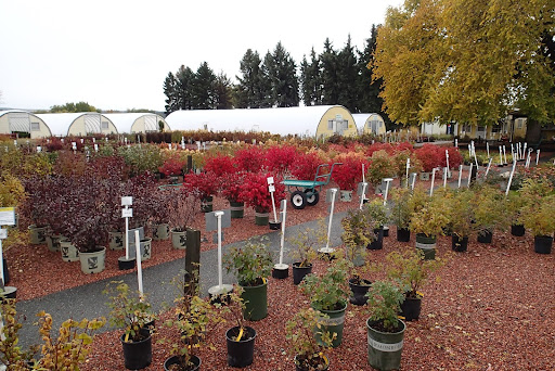 Sitemapcdatahttpswwwkedriinfolucas Nursery Landscapingnull