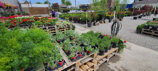 Frank Otte Nursery and Garden Center - Plant Nursery at 2930 Bardstown ...