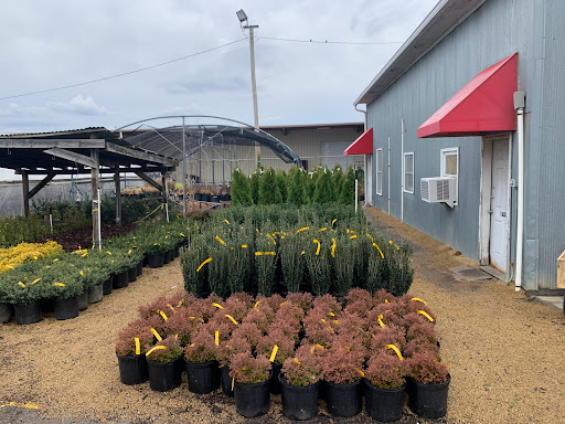 Frank Otte Nursery and Garden Center - Plant Nursery at 2930 Bardstown ...