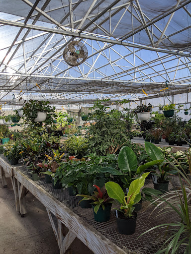 Fort Collins Nursery - Plant Nursery at 2121 E Mulberry St, Fort ...