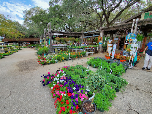 Loop Nurseries Moon Valley Nurseries San Antonio - Plant Nursery at 3550 N Loop 1604 E ...